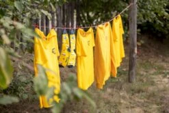 Easy Camp Palmdale 600 Tunneltent - 6 Persoons 10 Easy Camp Palmdale 600 Tunneltent - 6 Persoons -Uitrusting Voor Buiten 1267 1900 waslijn 1