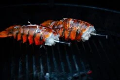 MEATER Block Met 4 Draadloze Thermometers 6 MEATER Block Met 4 Draadloze Thermometers -Uitrusting Voor Buiten 20190625 mg 6541