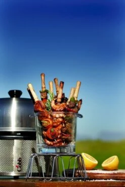 Cobb Premier+ Gas Gasbarbecue - Grijs 10 Cobb Premier+ Gas Gasbarbecue - Grijs -Uitrusting Voor Buiten cobb premier 3